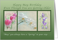 Happy May Birthday Your Getting Older, Flower Collection card