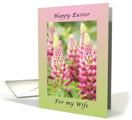 Happy Easter For mMy Wife, Pink Lupine card (1351214)