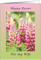 Happy Easter For mMy Wife, Pink Lupine card