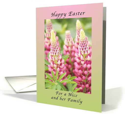 Happy Easter For a Niece and Her Family, Pink Lupine card (1351310)
