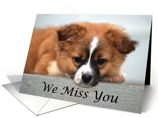 We Miss You (puppy eyes) card (951669)