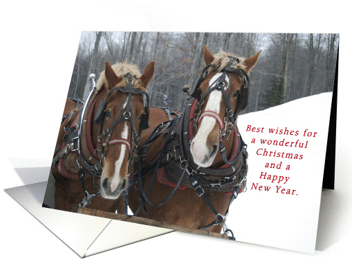 Merry Christmas Sleigh Ride card (953311)