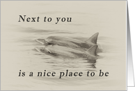 Next to you is a nice place to be_dolphins card