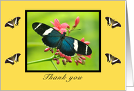 Thank you card with butterfly card