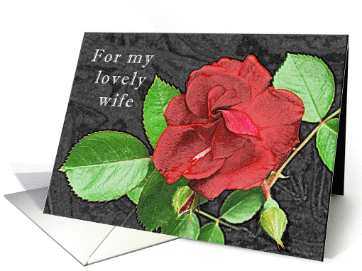 For My Lovely Wife Just Because card (955285)
