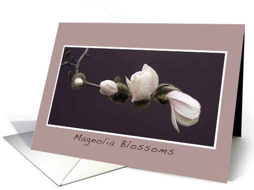 Magnolia Blossoms Happy Birthday Mom card (958387)
