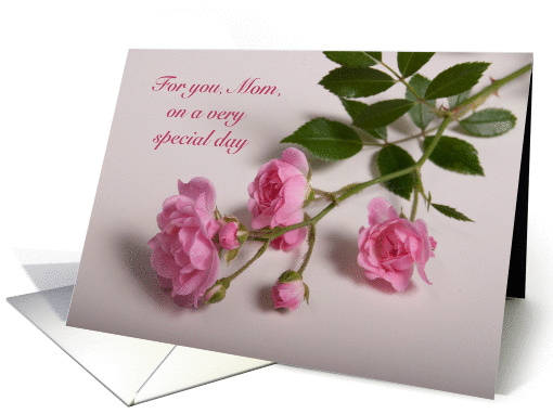 Happy Mother's Day, Mom, Pink Roses card (958393)