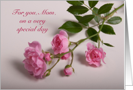 Happy Mother’s Day, Mom, Pink Roses card
