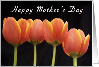 Happy Mother’s Day,Tulips card