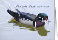Happy Birthday Dad, Wood Duck card