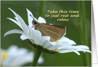 Get Well Soon, Butterfly on White Daisy, Resting Place card