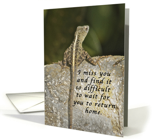 Miss You, Waiting for you, Lizard on Rock card (958585)