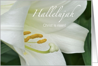 Easter Hallelujah Christ is Risen card