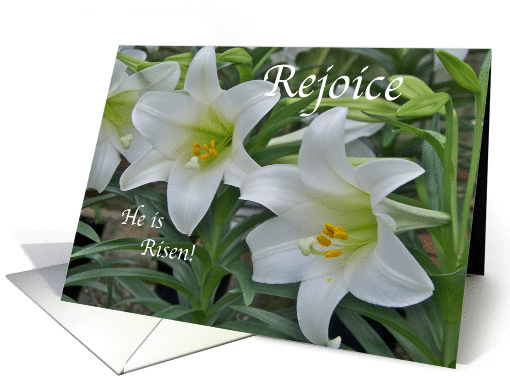 Easter Rejoice He is Risen card (959581)