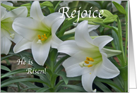 Easter Rejoice He is Risen card