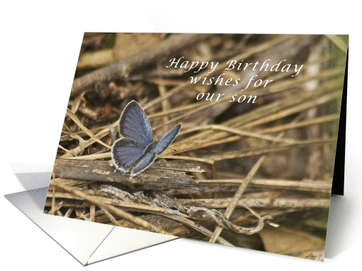 Happy Birthday Son Eastern Blue Tail Butterfly card (959859)