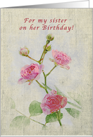 Happy Birthday delicate pink roses card