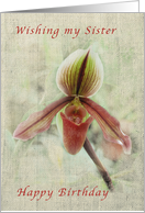 Happy Birthday, Sister, Vintage, Lady Slipper card