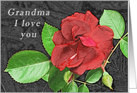 Grandma I Love You...