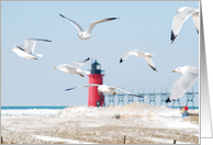 South Haven South Pierhead Light_lighthouse card