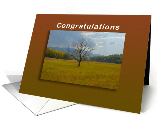 Congratulations Award and Recognition Tree standing alone card