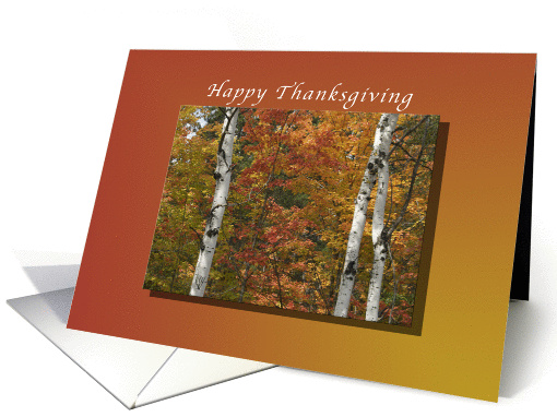 Happy Thanksgiving Trees in full Fall Colors card (969127)