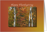 Happy Thanksgiving Trees in full Fall Colors card