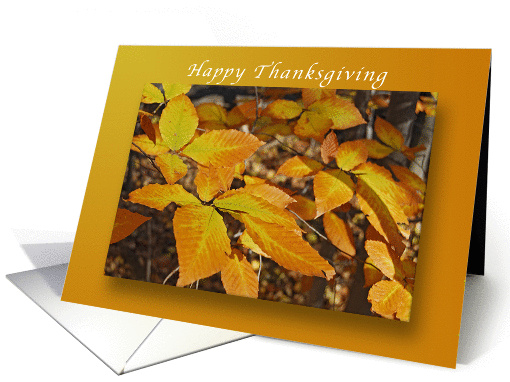 Happy Thanksgiving, Beech Leaves, our Home to Yours card (970571)