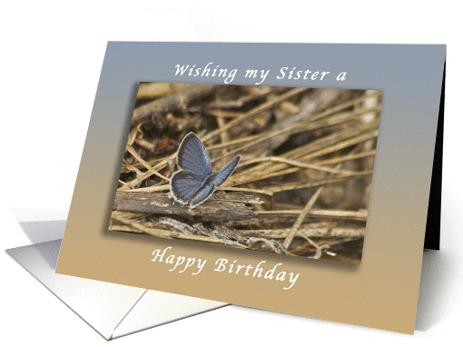 Happy Birthday Wishes for a Sister, Butterfly card (971051)