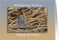 Happy Birthday Wishes for a Sister, Butterfly card
