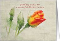 As the Sun Rises, Happy Birthday, Mother-in-Law, orange rose card