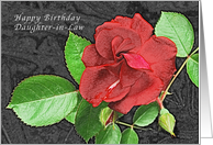 Happy Birthday Daughter in Law, Red Rose card