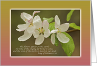 Thinking of You, Apple Blossoms and Dew, Scripture card