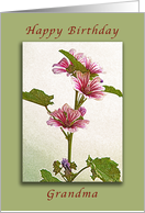 Happy Birthday Grandma, pink flowers card