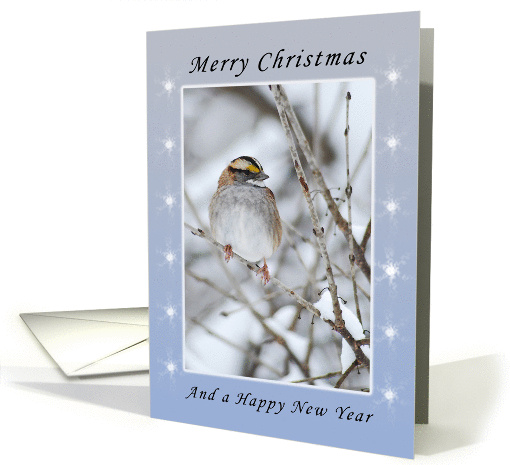 Merry Christmas Happy New Year, White-Throated Sparrow card (983109)
