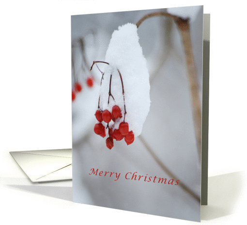 Merry Christmas Snow Covered Red Berries card (983895)