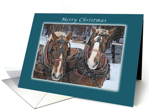 Merry Christmas, Draft Horses Winter Scene card (983901)