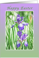 Happy Easter, Purple Irises with Pastel Boarder card