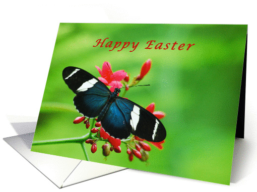 Happy Easter, Butterfly, Red Flowers card (984459)