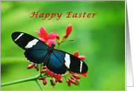 Happy Easter, Butterfly, Red Flowers card