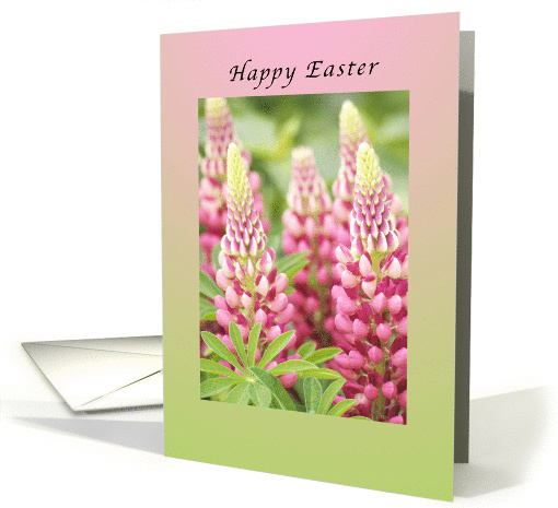 Happy Easter, Pink Lupine card (984465)