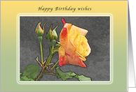 Happy Birthday Wishes, Red-Yellow Rose card