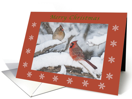 Merry Christmas Cardinal Pair colored pencil red boarder... (988787)