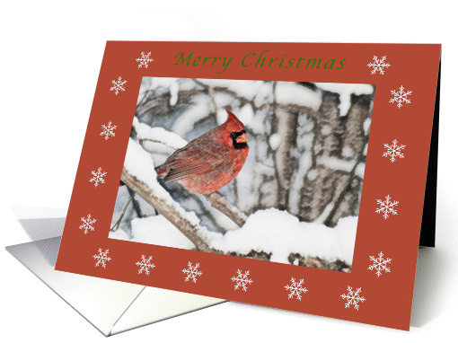 Merry Christmas Male Cardinal colored pencil red boarder... (988799)