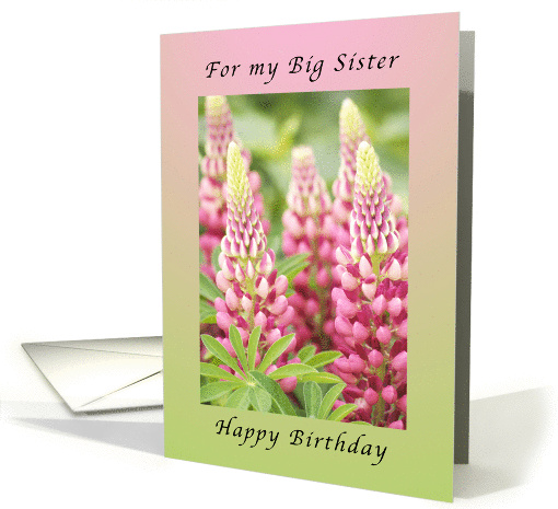 Happy Birthday for my big Sister, Pink Lupine flowers card (989581)