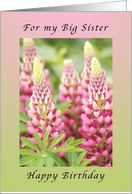 Happy Birthday for my big Sister, Pink Lupine flowers card