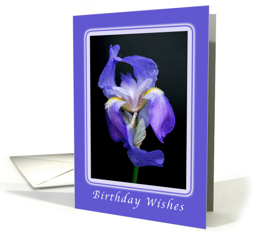Happy Birthday Wishes, Striking Purple Bearded Iris card (989775)