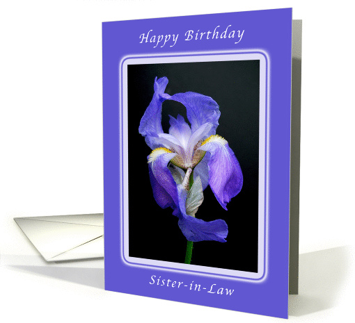 Happy Birthday Wishes, Sister-in-Law, Striking Purple... (989805)