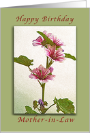 Happy Birthday Mother-in-Law, pink flowers card