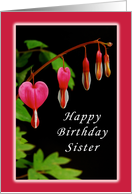 Happy Birthday, Sister, Red Bleeding Heart Flowers card